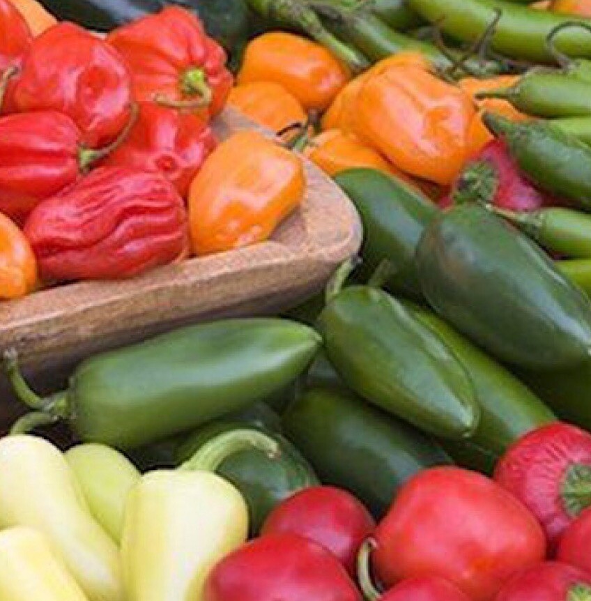 100+ Pepper Seeds – Mixed Peppers Seeds- Ghost, Habanero, Jalapeños AND More US