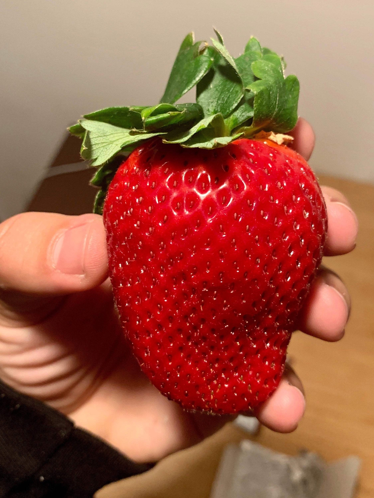 15 GIANT STRAWBERRY Fragaria JuneBearing Huge Red Berry Fruit White Flower Seeds