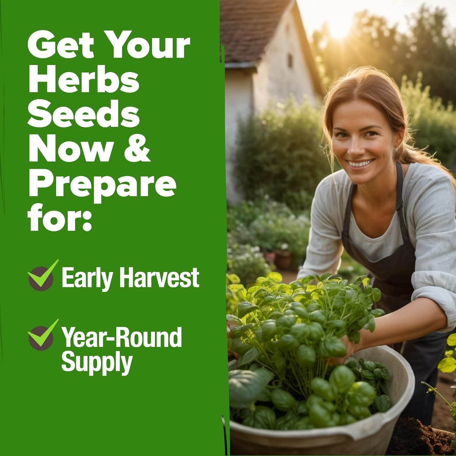 Culinary Herb Seed Vault with 3,000+ Seeds: Indoor/Outdoor Growing Essentials