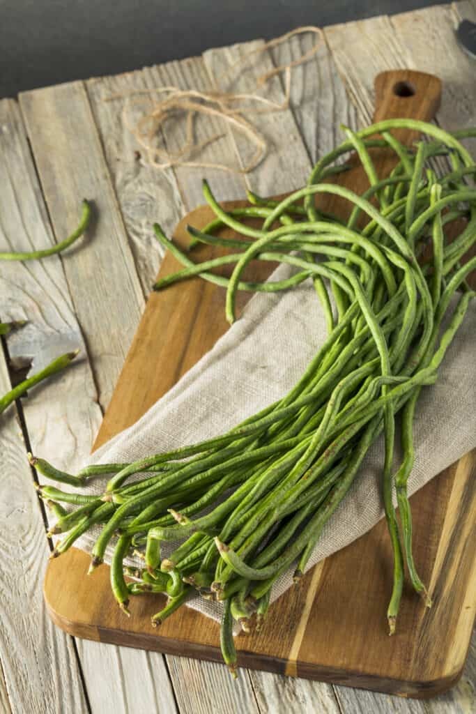 White Yard Long Bean Seeds | USA Asparagus Green Chinese Asian Seed For 2024