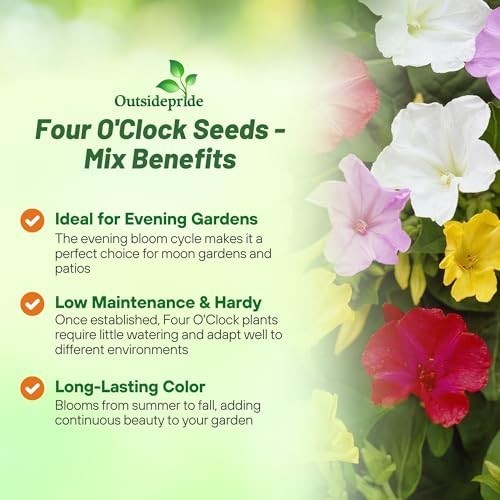 Mixed Four O’clock Flower Seeds – 1 lb Perennial, Fragrant Trumpet Blooms, Deer-