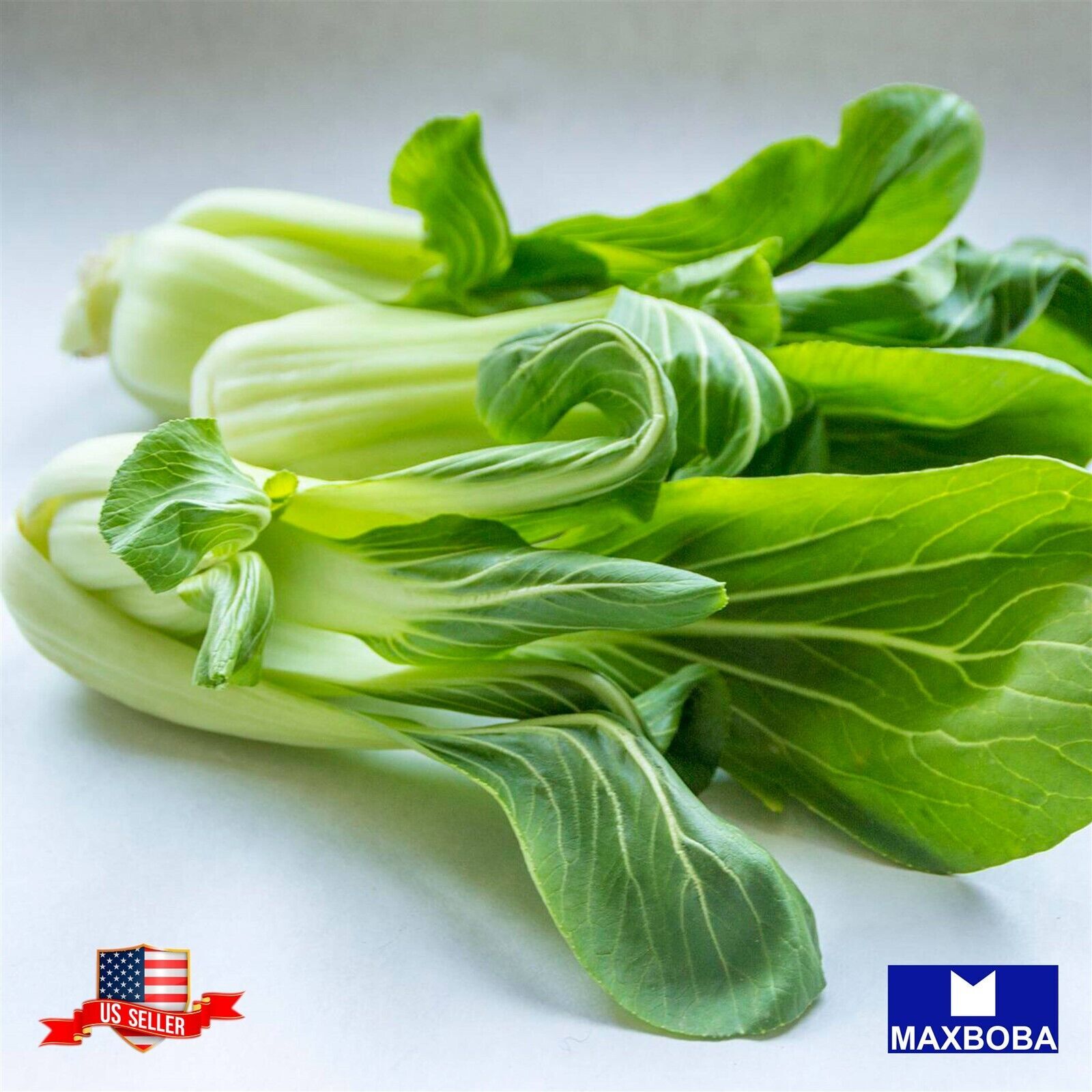Cabbage Seeds Pak Choi White Stem Bok Choy Non-GMO / Heirloom / Vegetable Fresh