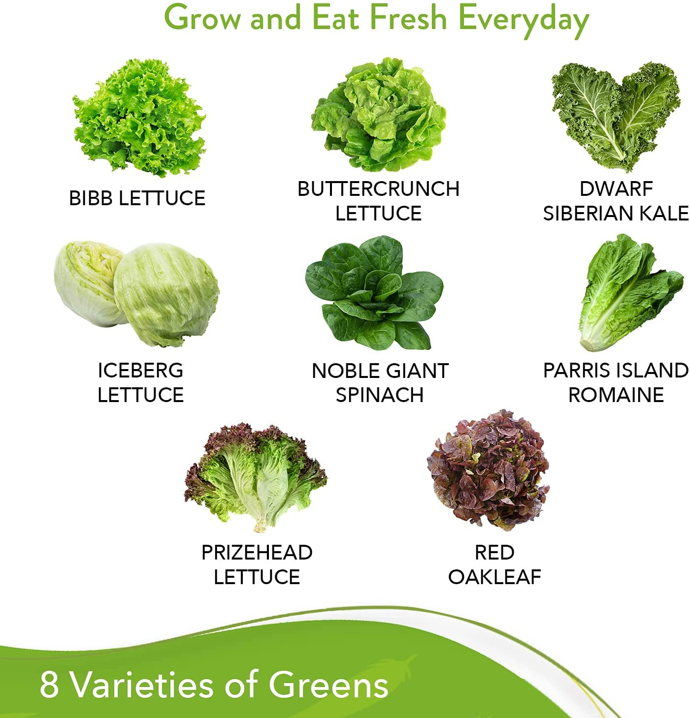 Lettuce & Salad Greens Seed Vault – 1200+ Non-Gmo Vegetable Seeds for Outdoors o