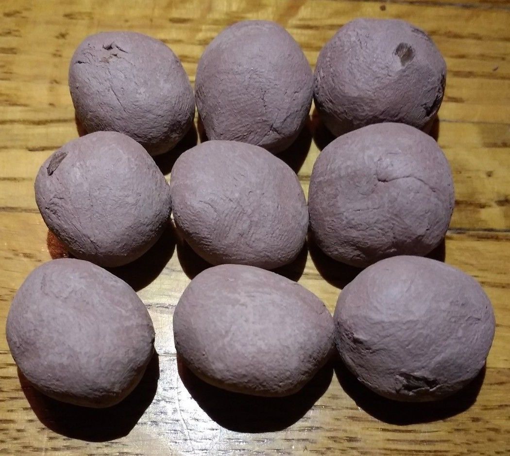 9 Common Milkweed Clay Seed Balls Asclepias syriaca 2023 Organic
