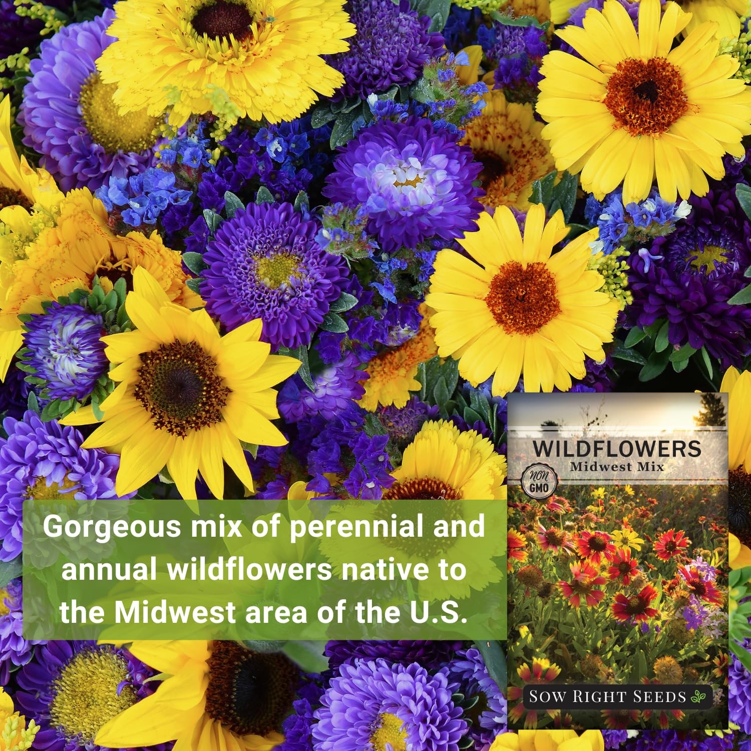 Midwest Wildflowers Seeds Mix, Non-GMO Heirloom Perennial, Annual Varieties