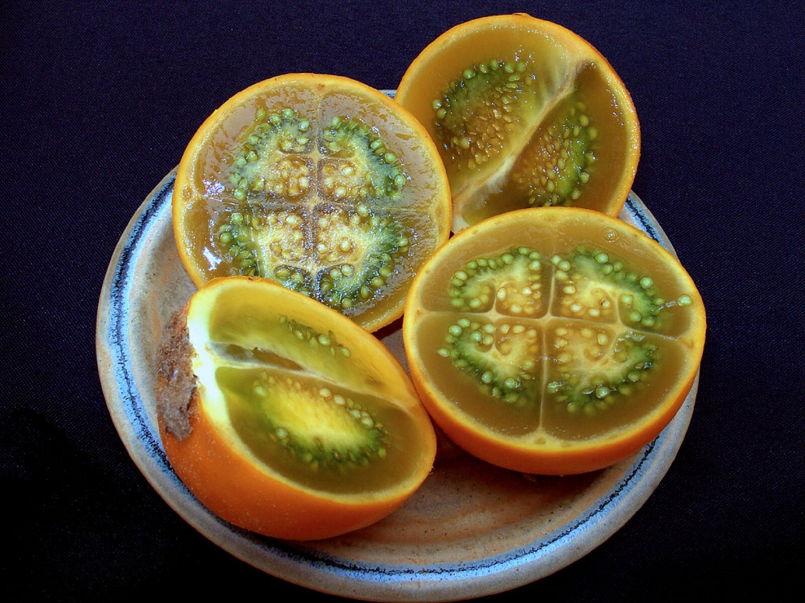 Lulo Orange Tree {Solanum quitoense} Organic 10 seeds Free Shipping!