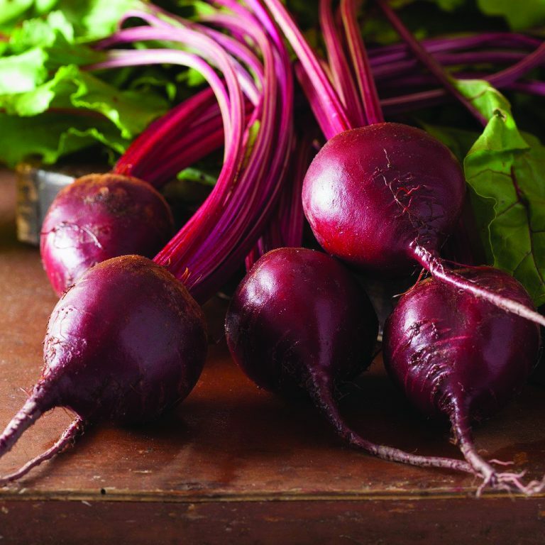 Bull’s Blood Beet Seeds 100 Ct Vegetable Garden NON-GMO USA SELLER FREE SHIPPING