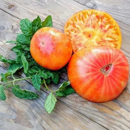 120+ BIG RAINBOW TOMATO SEEDS – HEIRLOOM – ORGANIC – NON GMO –FRESH — RARE