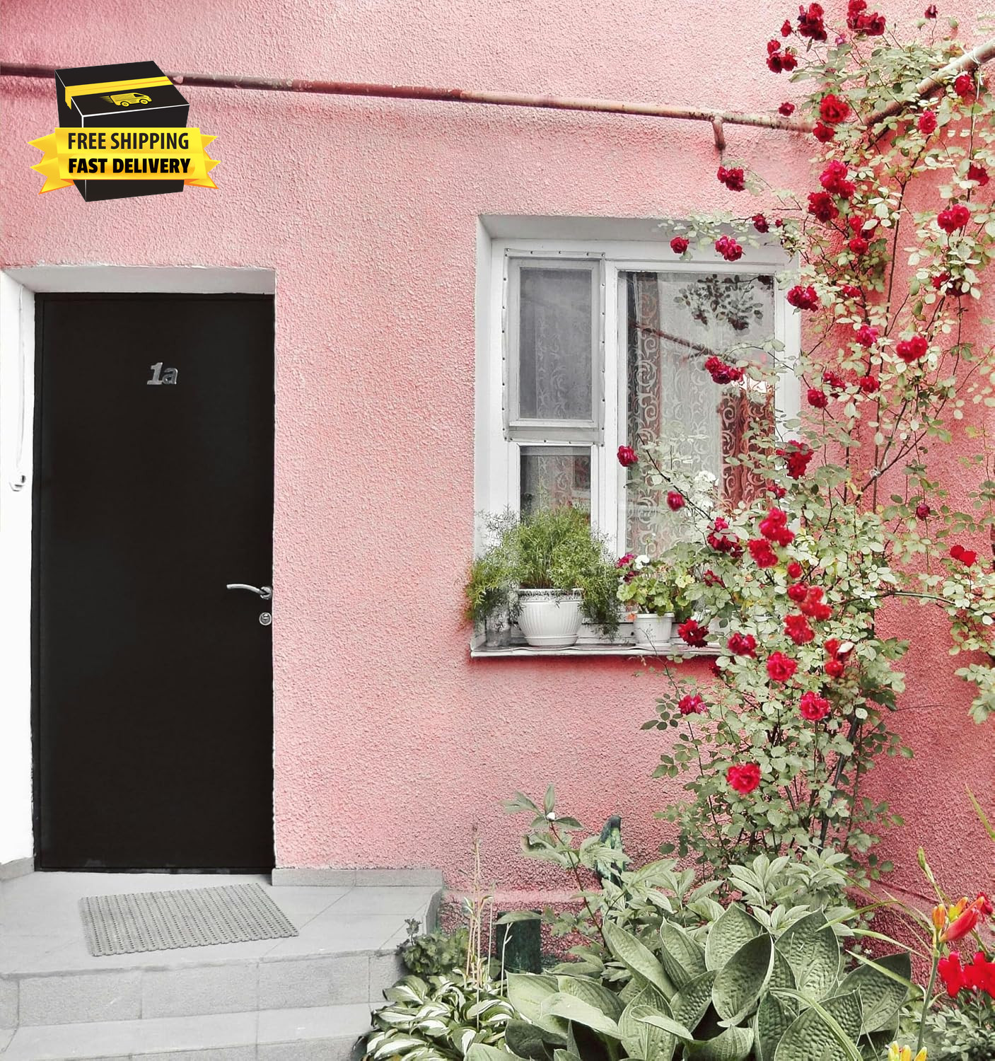 Carpetc 250+ Mixed Climbing Rose Seeds for Planting, Rosa Hybrid Rambling Vine w