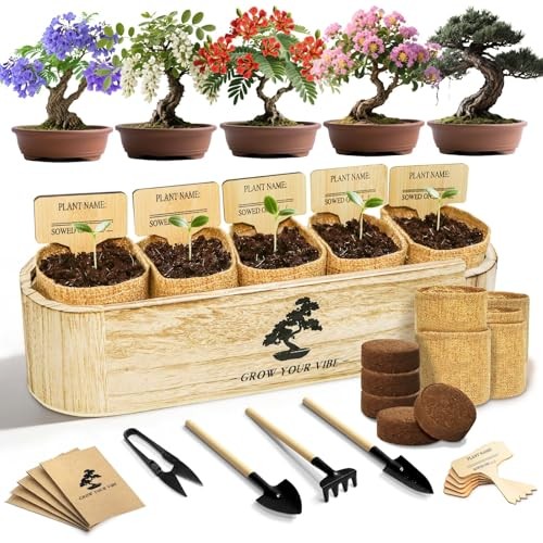 Bonsai Tree Kit for Beginners – Complete Indoor Gardening Set with 5 Seed Types