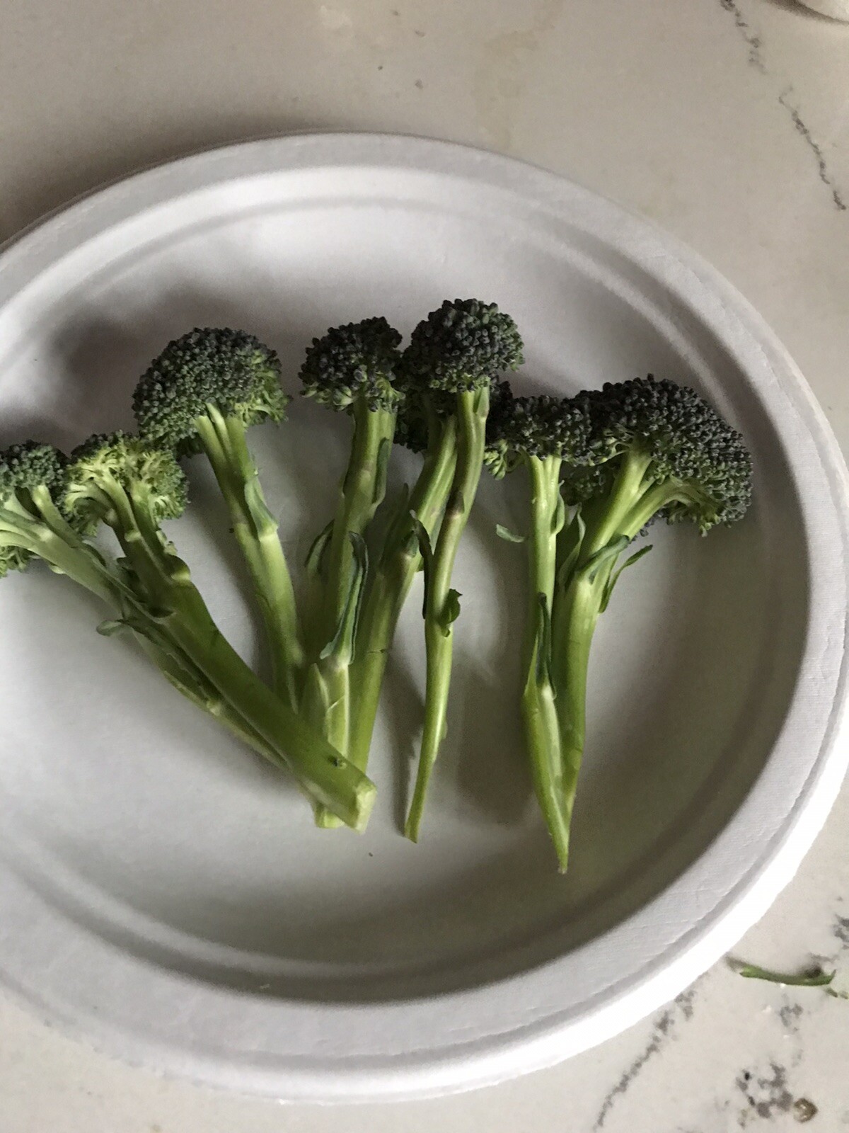 Organic Baby Broccoli Aspabroc 100 seeds