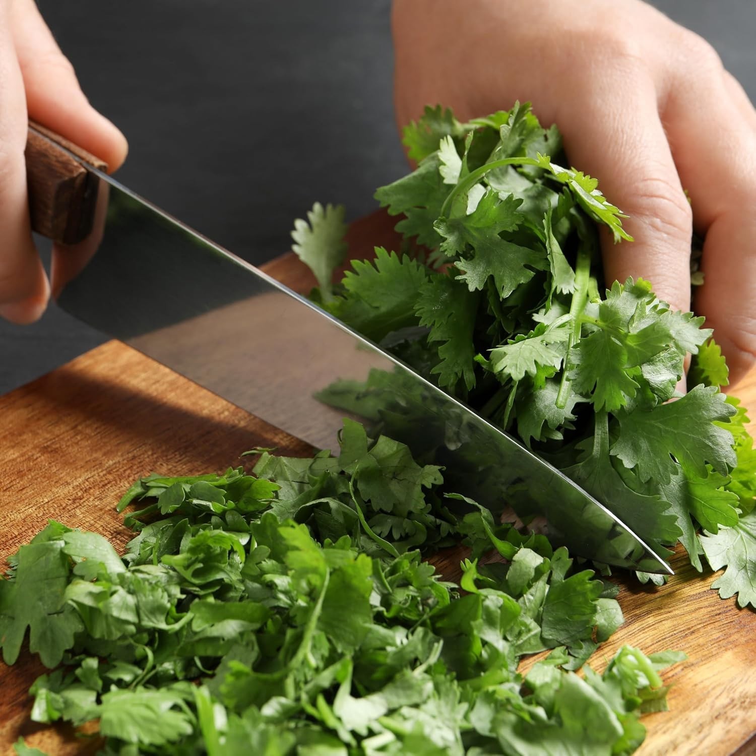 Seed Needs Cilantro Seeds – 1.5 Ounce Bulk Package Coriander Seed