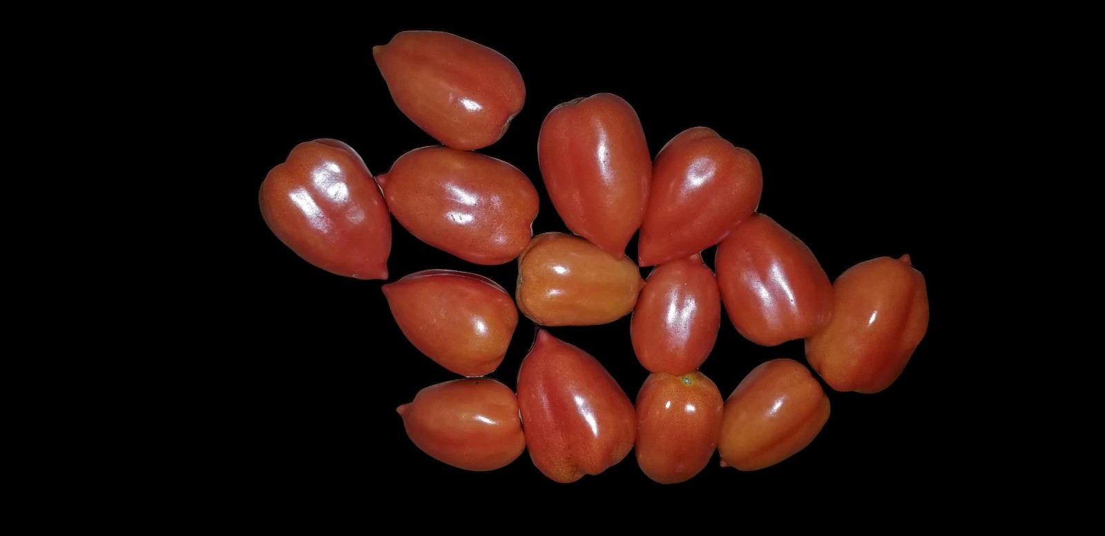 Micro Dwarf Heartbreaker Tomato– Heart-Shaped Fruits, Ideal for Indoor, Outdoor