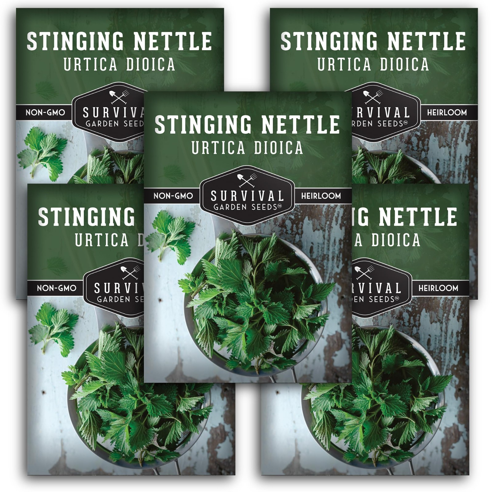 Stinging Nettle Seeds – Medicinal Herb & Edible Perennial for Tea & Cooking – No