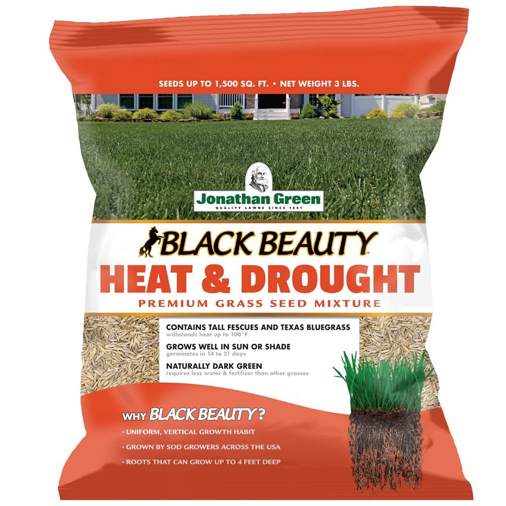 Heat & Drought Resistant Grass Seed – Black Beauty Cool Season Lawn Seed 3 lb