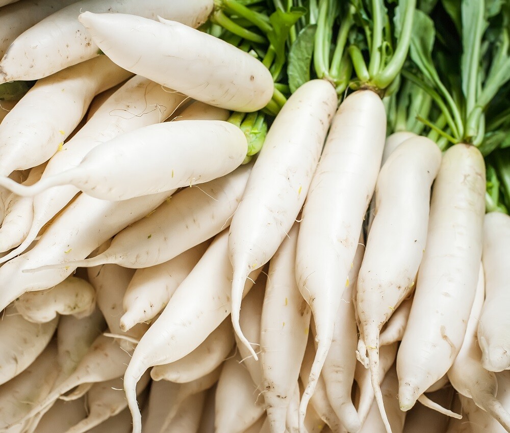 Daikon Radish Seeds to Plant | Non-GMO | Heirloom | Fresh Garden Seeds