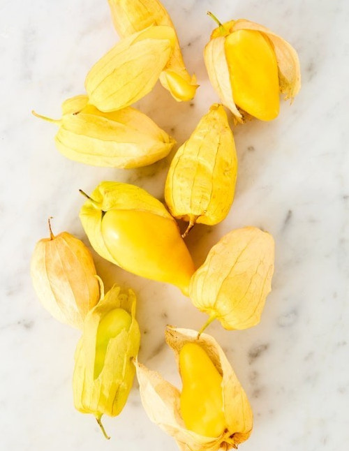 Queen Of Malinalco Tomatillo 25 Seeds | Heirloom | Organic