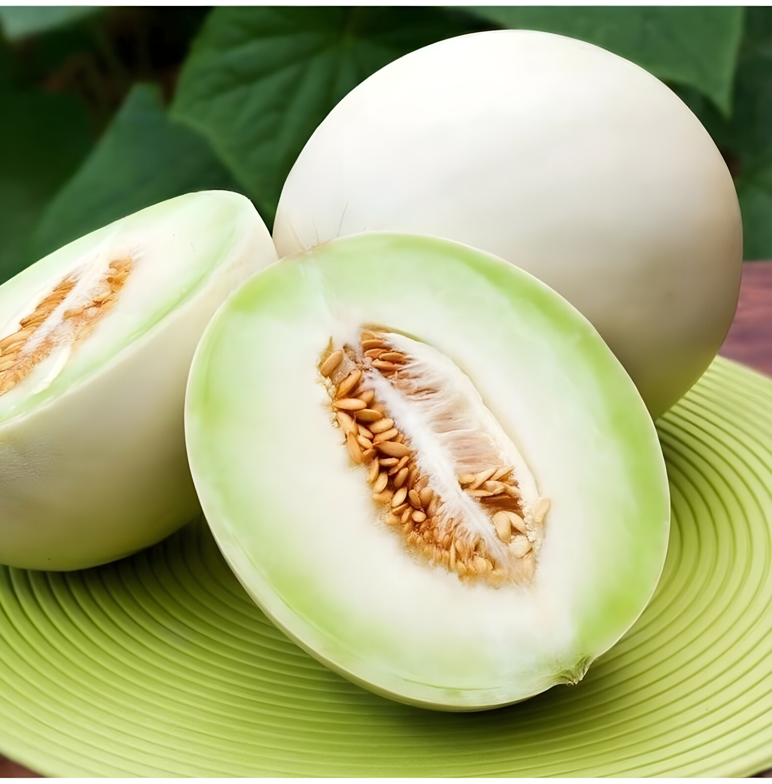 40 Premium Heirloom Green Flesh Honeydew Melon Seeds – Super Sweet&Tart