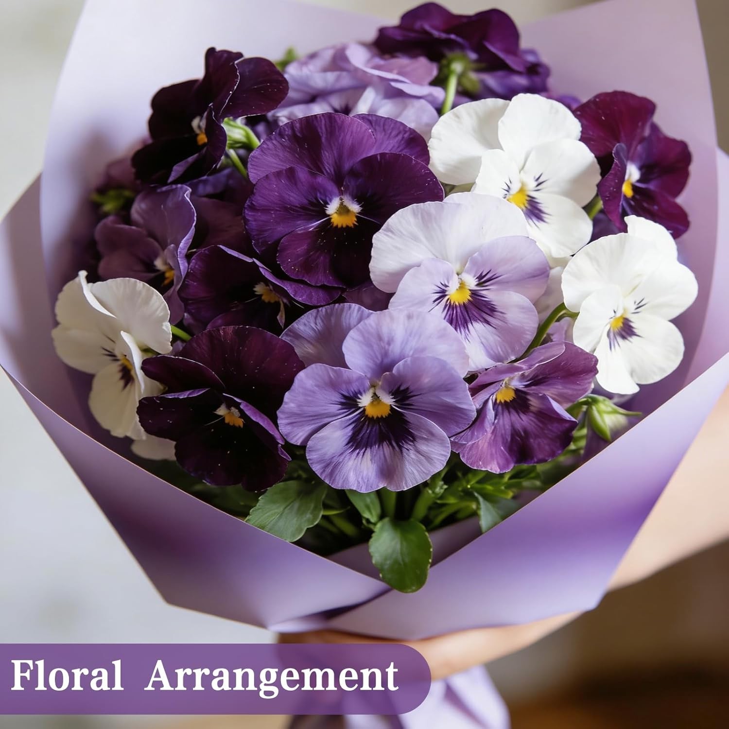 2000 Viola Flower Seeds for Pots, Borders, and Window Boxes – Cool Season Variet