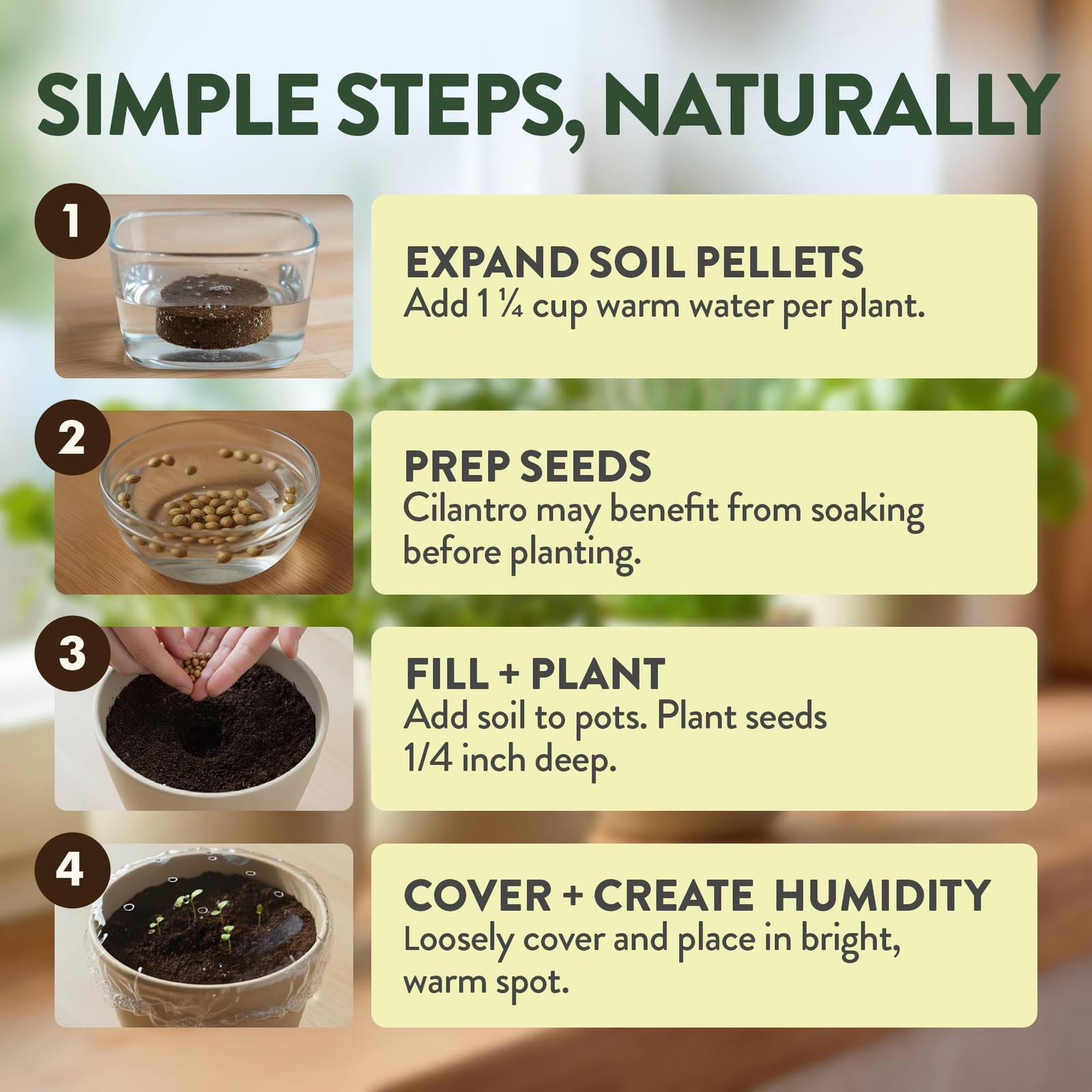 Indoor Organic Herb Garden Kit Unique Gift for Plant Lovers & Beginners