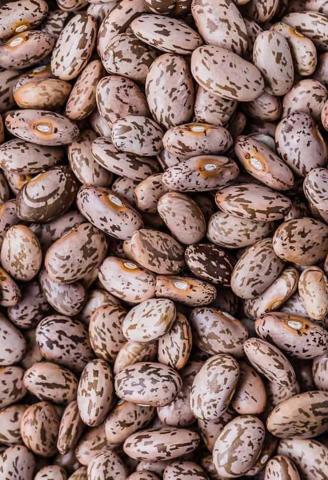8 oz 600 Seeds Pinto Bean NON GMO Heirloom Untreated