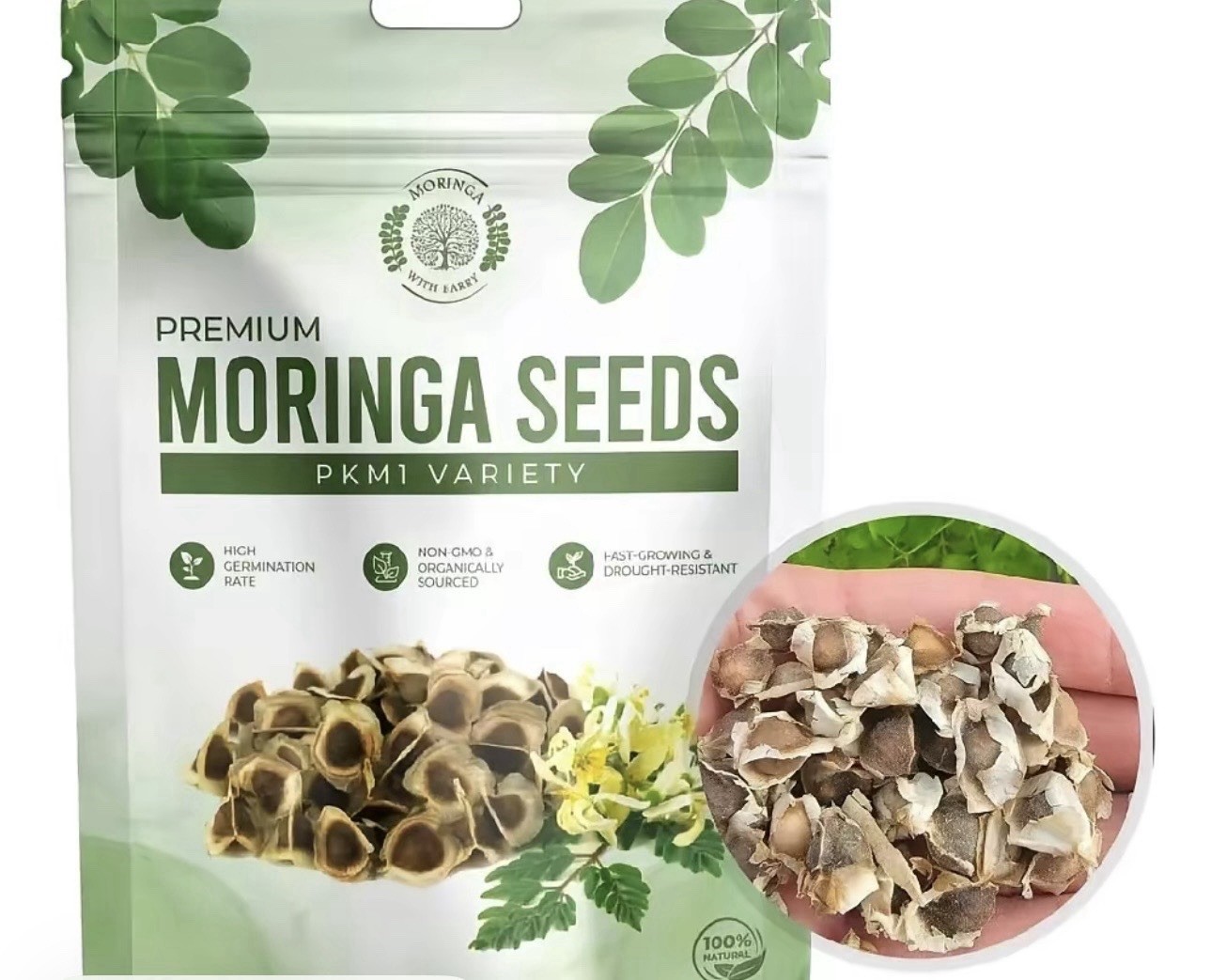 Moringa with Barry PKM1 Moringa Tree Seeds 100 Count Organic Non-GMO Fast