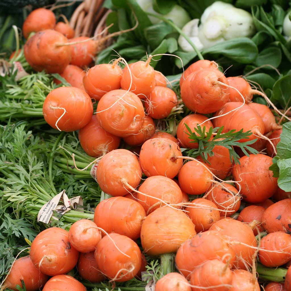401+PARISIAN Round CARROT Seeds French Heirloom Vegetable Garden Container Easy