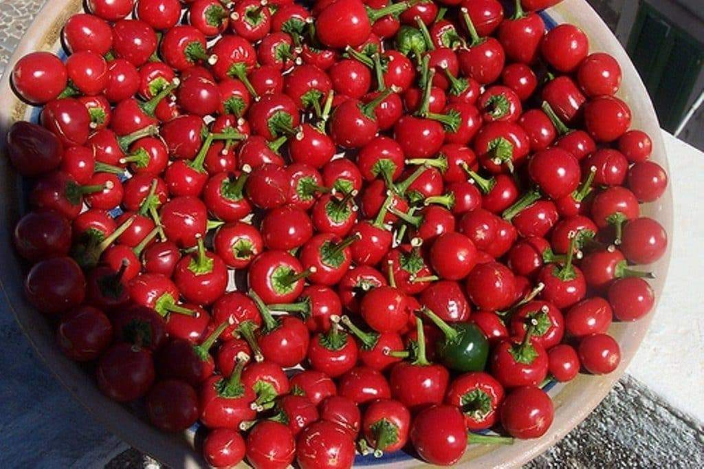 SWEET RED CHERRY PEPPER SEEDS NON-GMO SUPER FLAVOR GREAT FOR PICKLING tastee!
