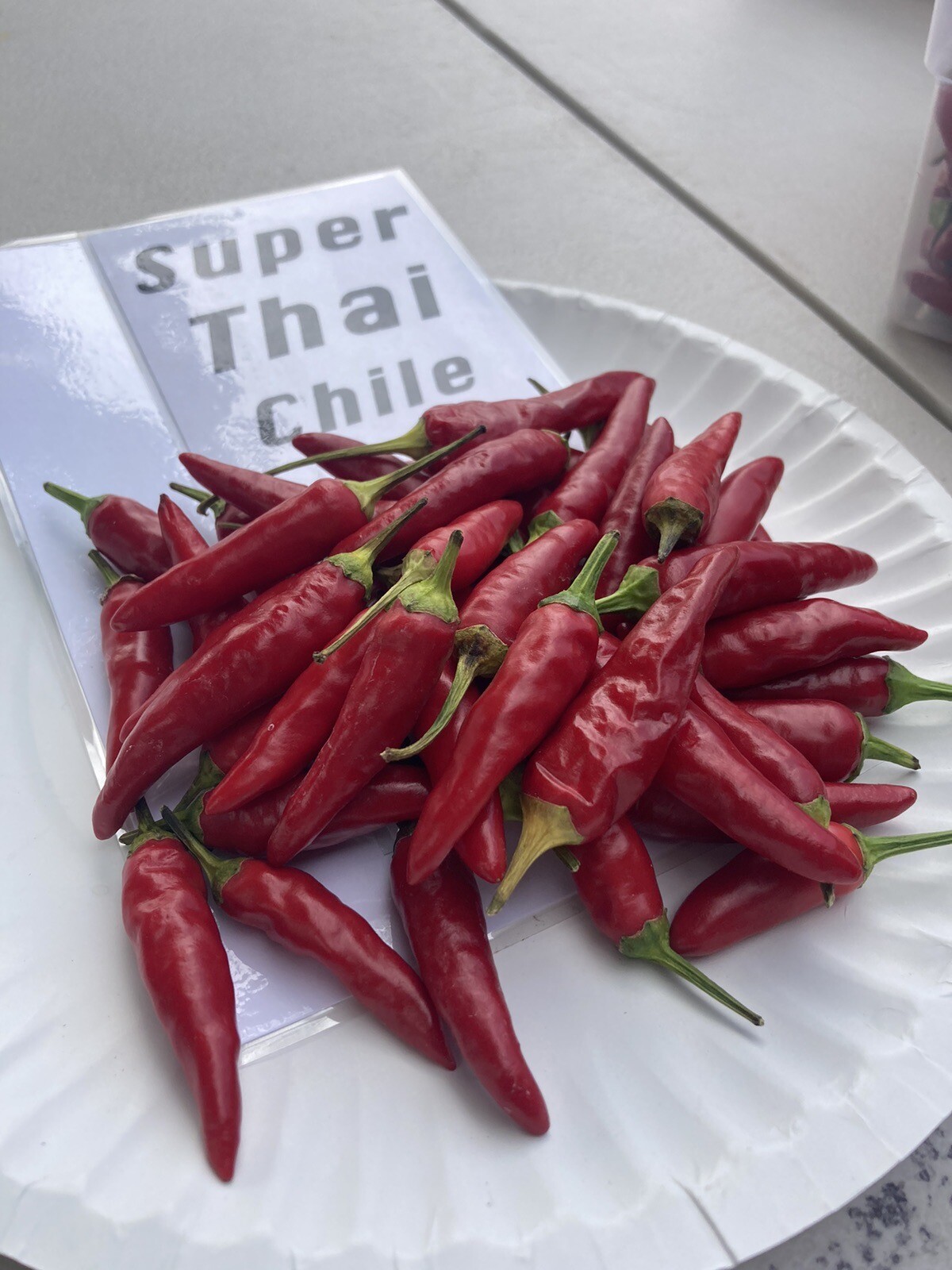 Super Thai Hot Pepper Seeds 25+ Per Pack