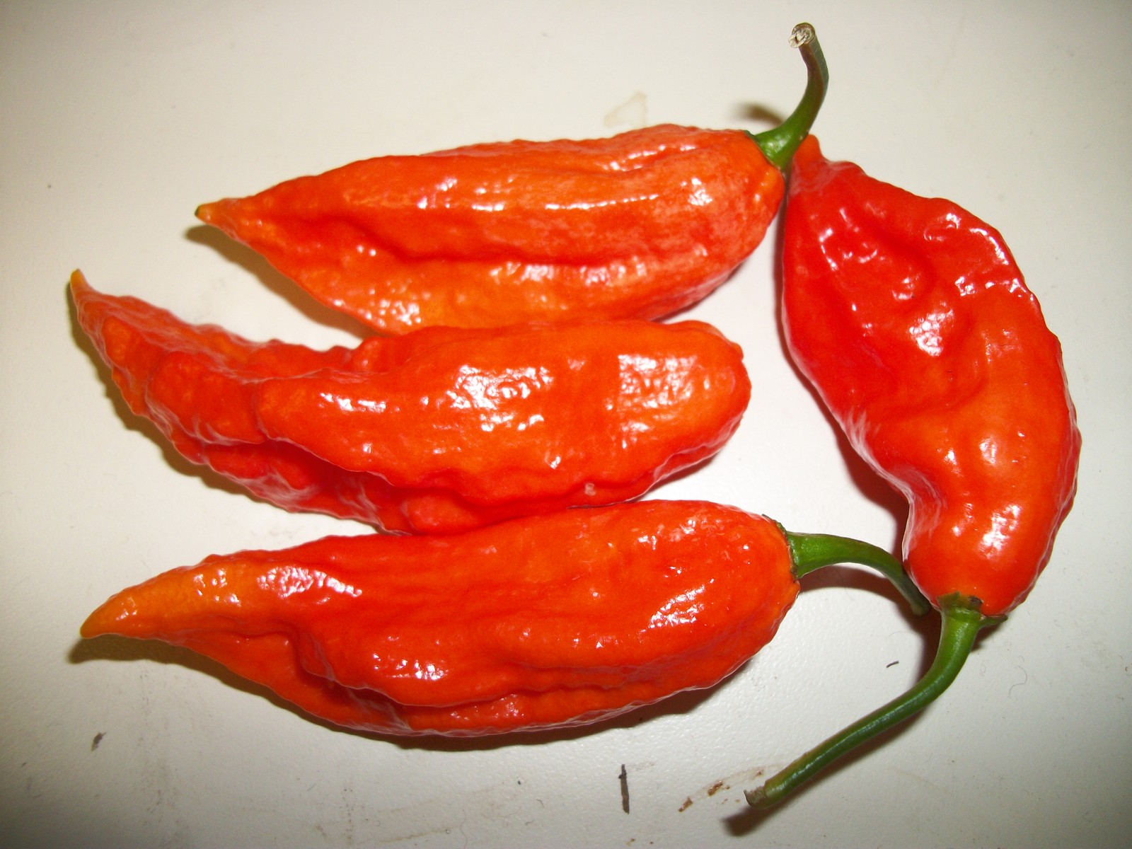 Ghost Bhut Jolokia Organic Seeds – Habanero – Very Large Red – Pkg 5+ – Ltd Qty