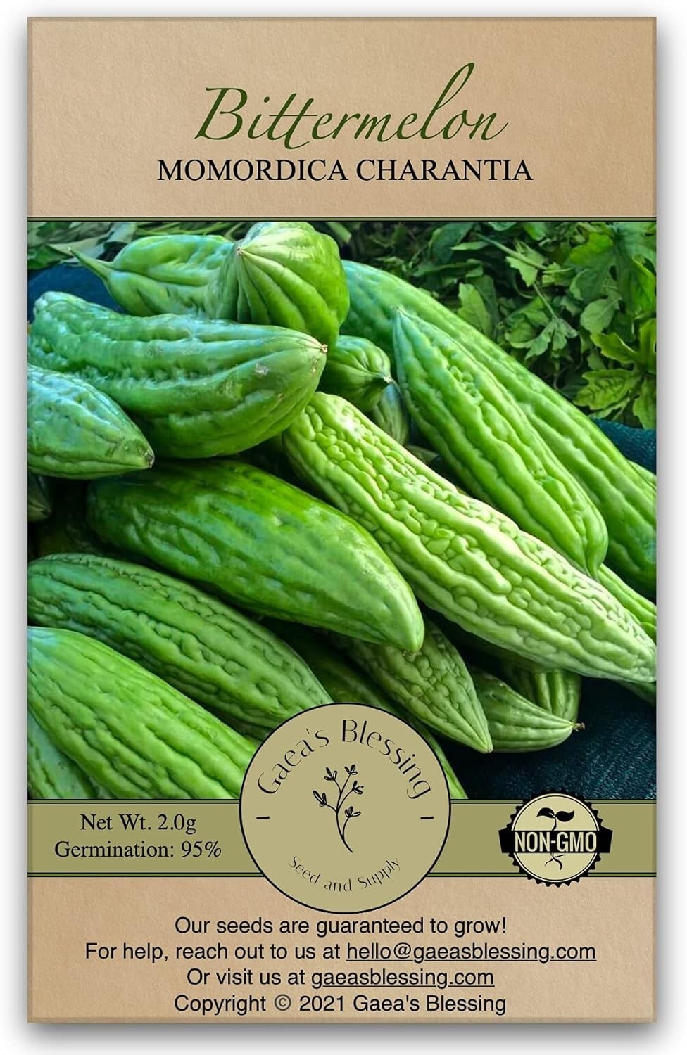 Grow Delicious Bitter Melon – Non-GMO Seeds with 92% Germination Rate, Pack of 1