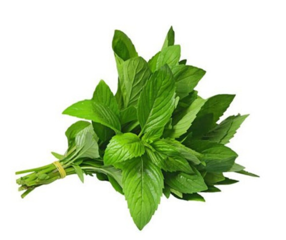 1 Gr (1800 Seeds) Asian Herb Seeds for Planting, Vietnamese balm – Mint seeds