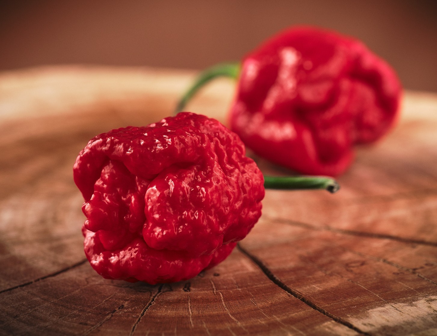 20 Super-Hot 7 Pot Brain Strain Red | NON-GMO | Pepper Seeds-B 02