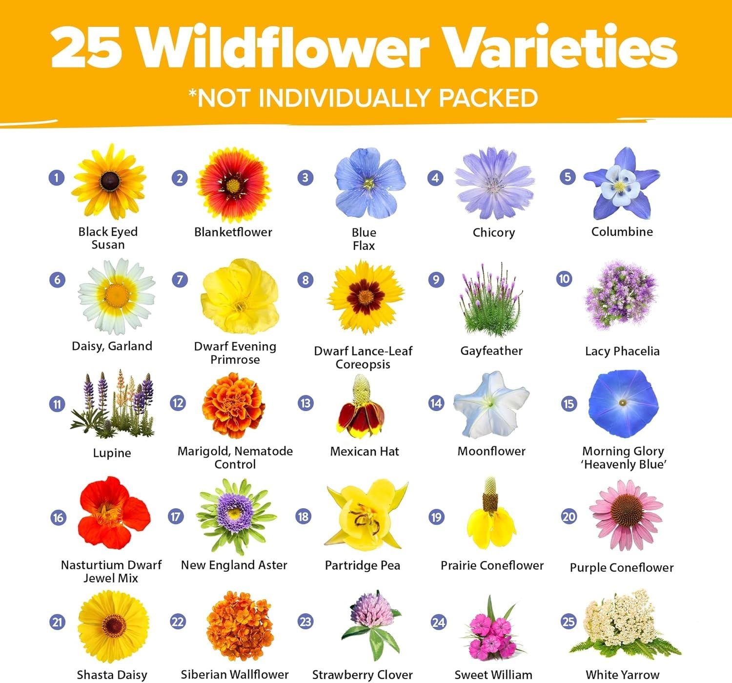 44,000 Seeds – Vibrant Wildflower Mix for Full Sun & Shade – Easy Grow Guide