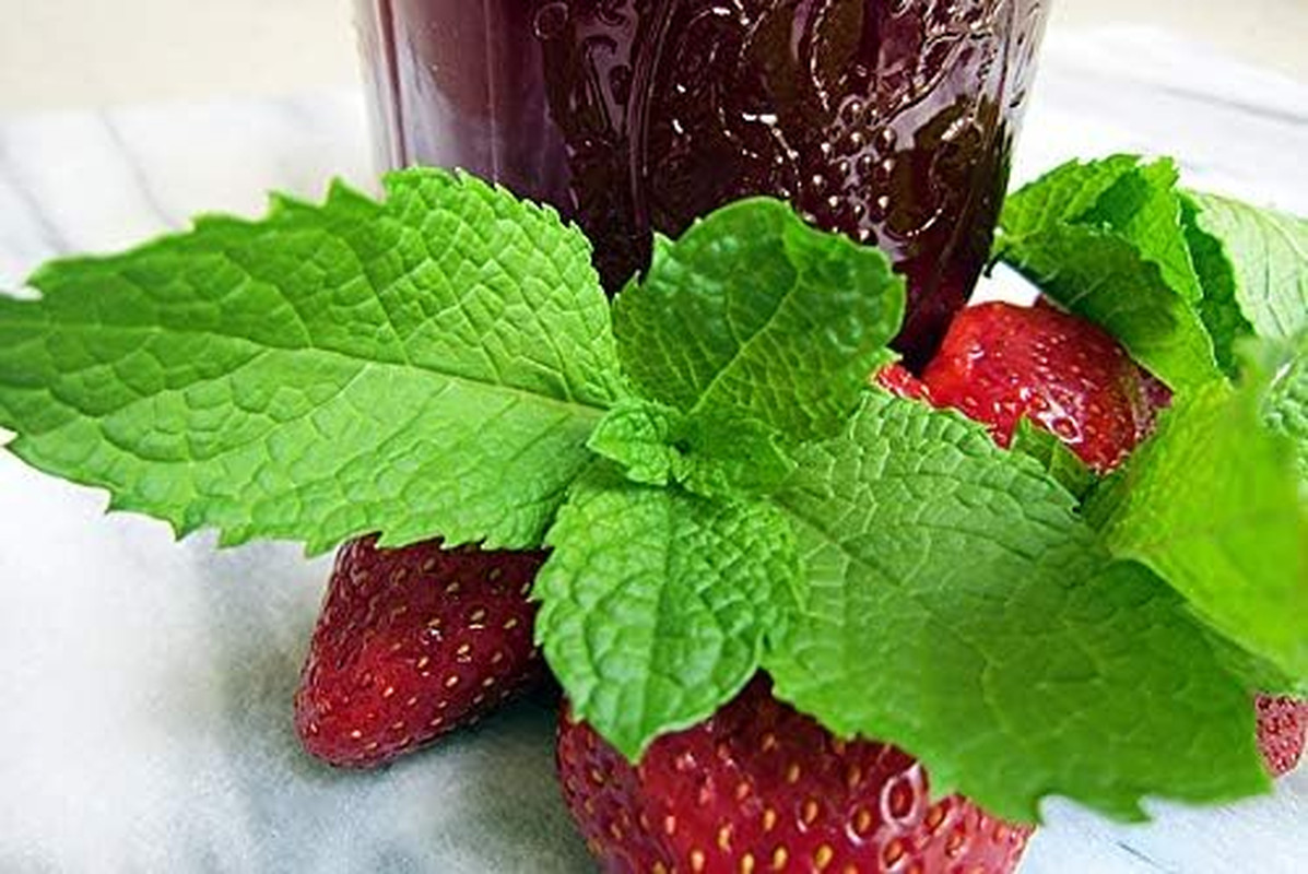100 Strawberry Mint Herb Seeds Non-GMO Fragrant Rare US Grown Mentha piperita