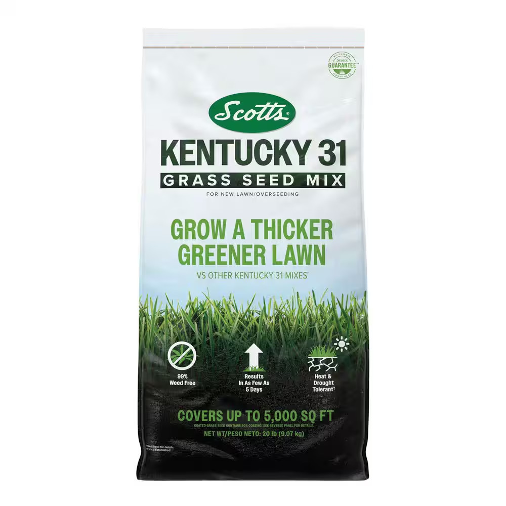 Kentucky 31 Grass Seed Mix 20 Lbs. for New Lawns or Overseeding