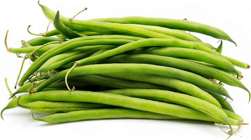 SCARBOROUGH SEEDS 30 Blue Lake Beans Seeds Heirloom Non GMO Bush