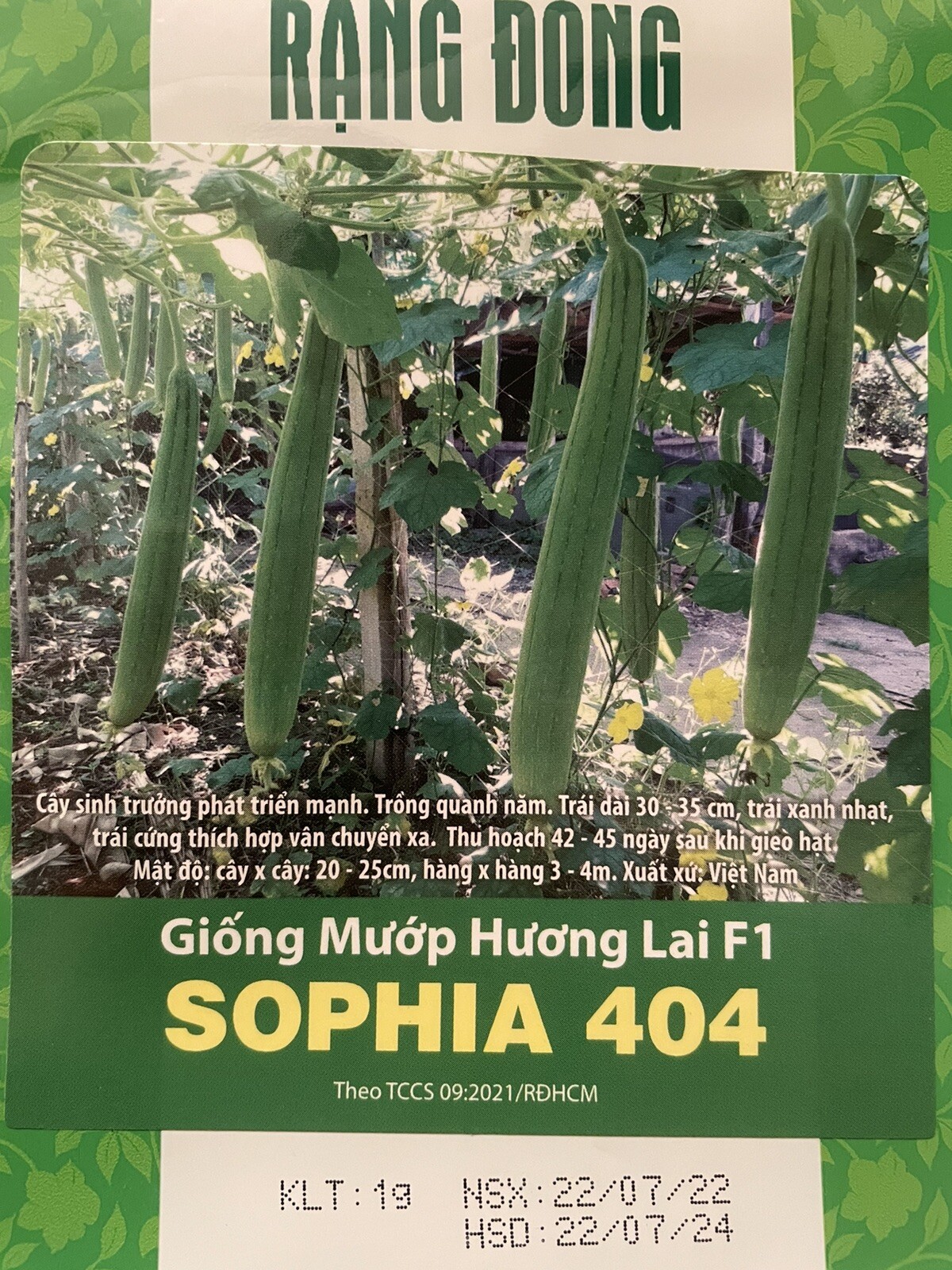 20 Vietnamese Hybrid Smooth Luffa Seeds, Hạt Giống Mướp Hương Lai F1, Sophia 404