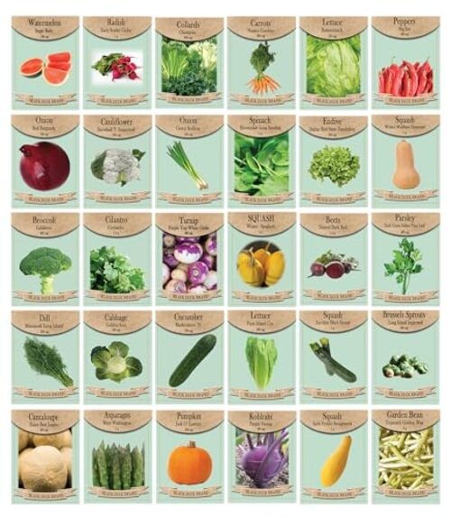 30 Assorted Packages of Vegetable Seeds, 15+ Varieties, All Seeds are