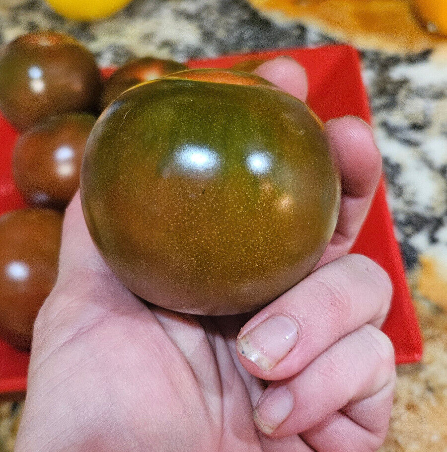 Kumato Tomato Seeds (30) / ORGANIC / DELICIOUS / EXTREMELY RARE / FLORIDA GROWN
