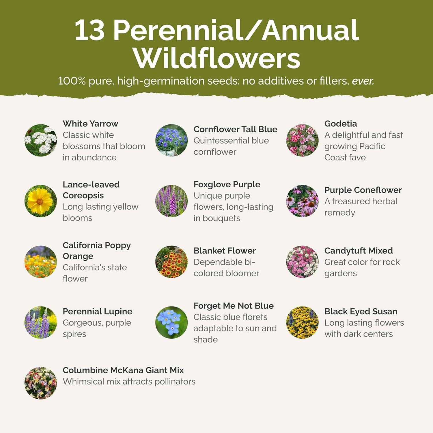 Deer Resistant Wildflower Mixed for Planting, 1/4 Lb, 120,000+ with Foxglove,