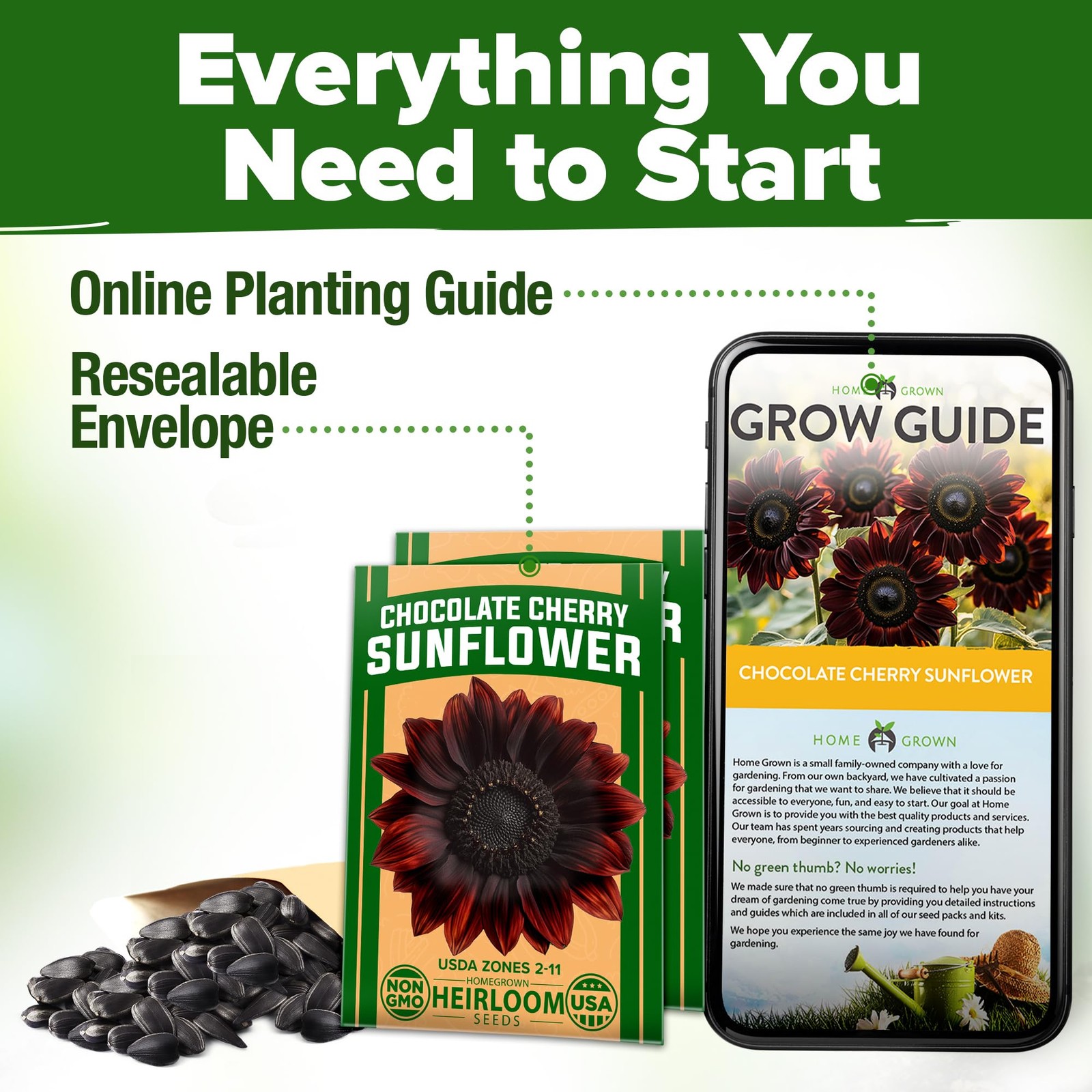 Chocolate Cherry Sunflower Seeds – 150 Heirloom Non-GMO Seeds – Burgundy Sunf…