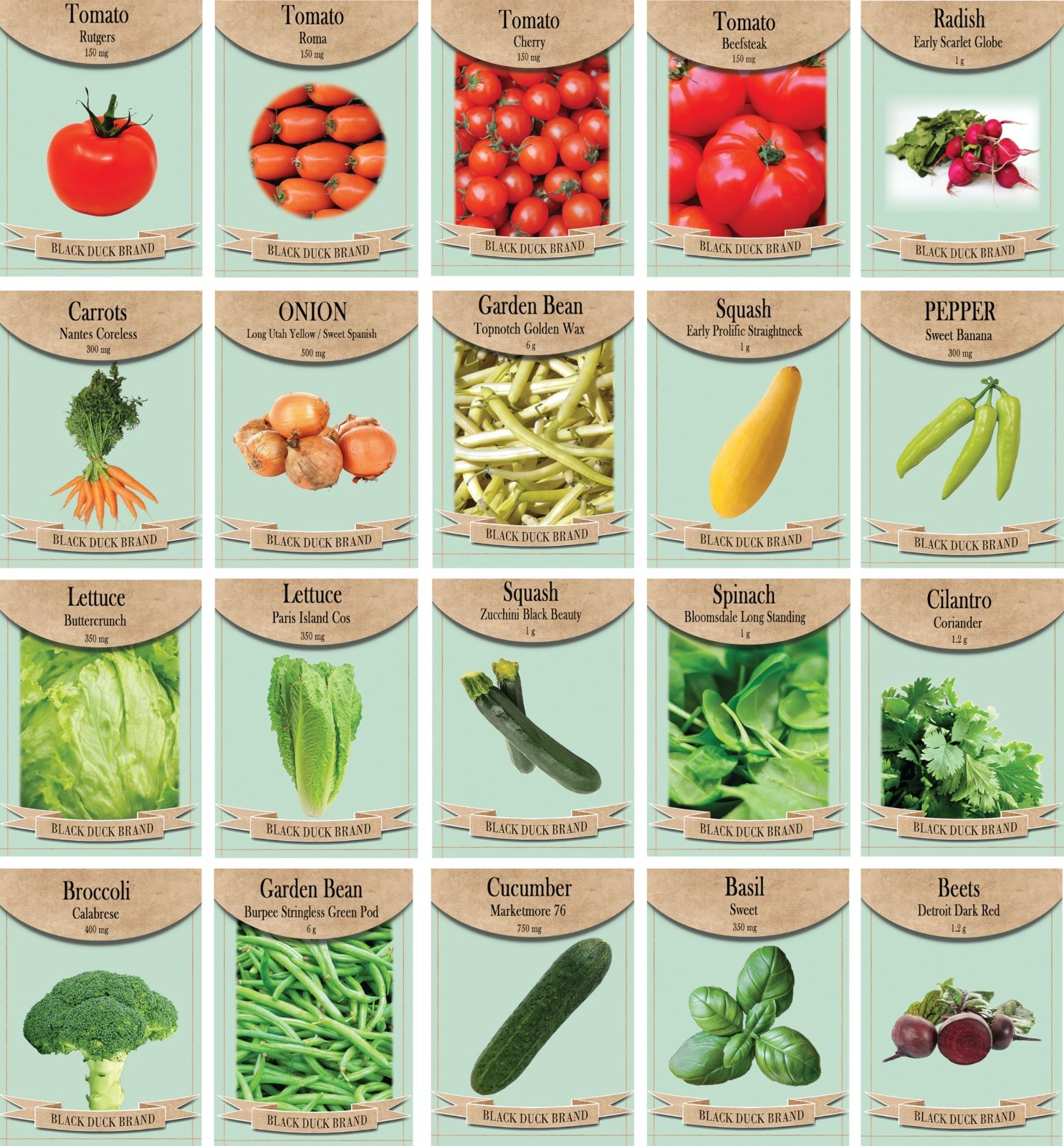 Set of 20 of Our Favorite Premium Variety Current Year Vegetable Seeds – Great