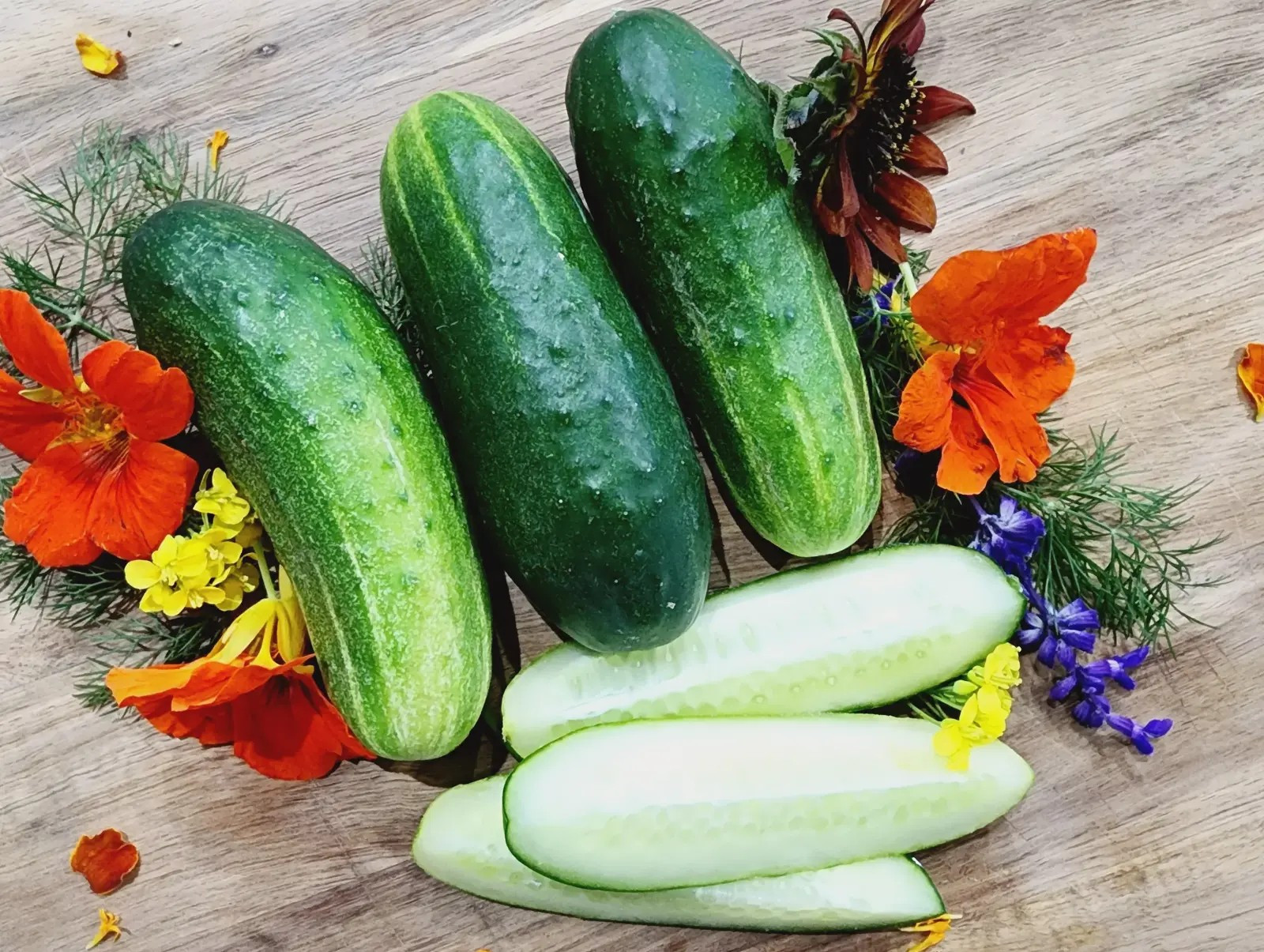 200+ Wisconsin SMR-58 Cucumber Seeds – Pickling — Heirloom – Organic – NON GMO