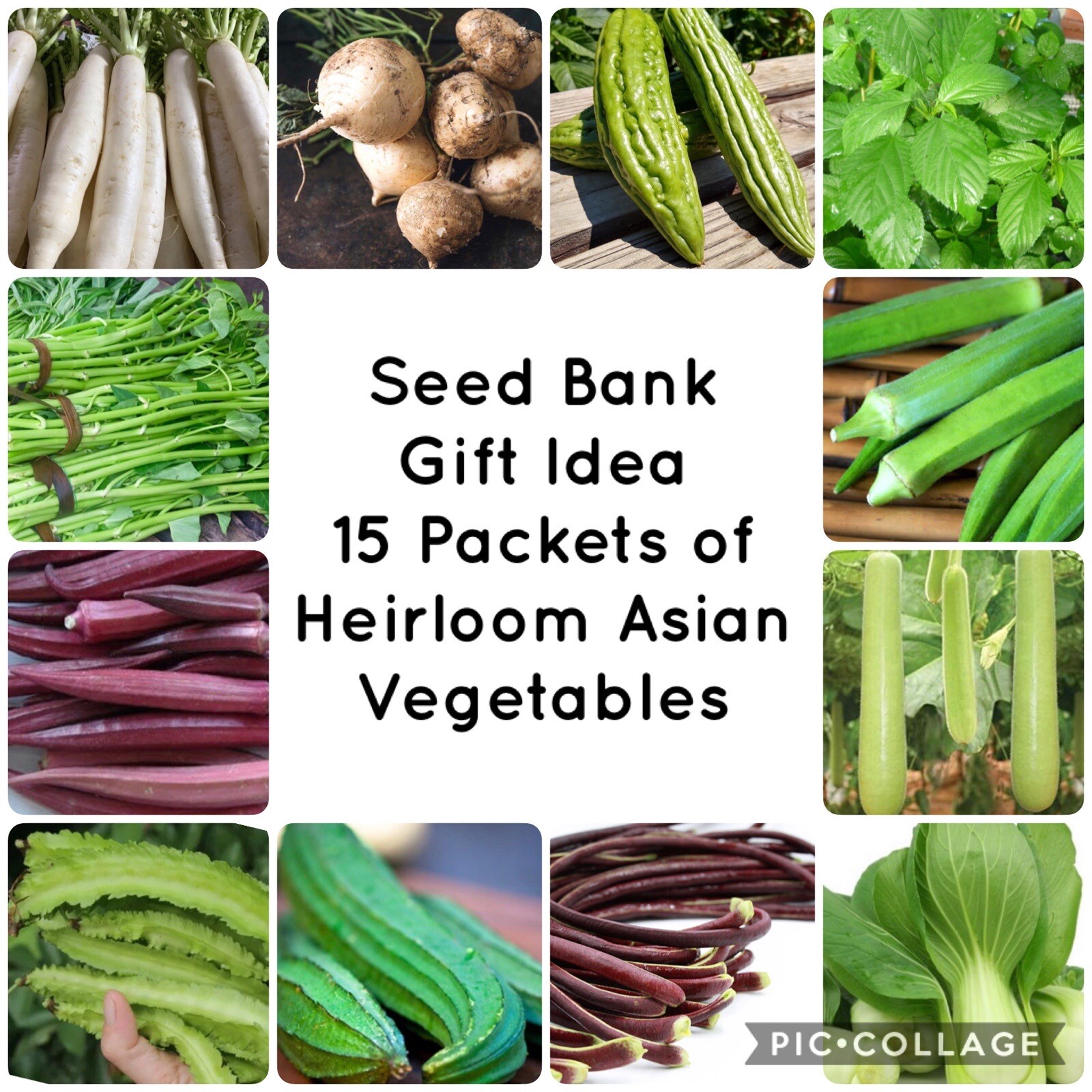 15 Filipino/Asian Vegetable | Seed Bank Kit | Planting Instruction Included