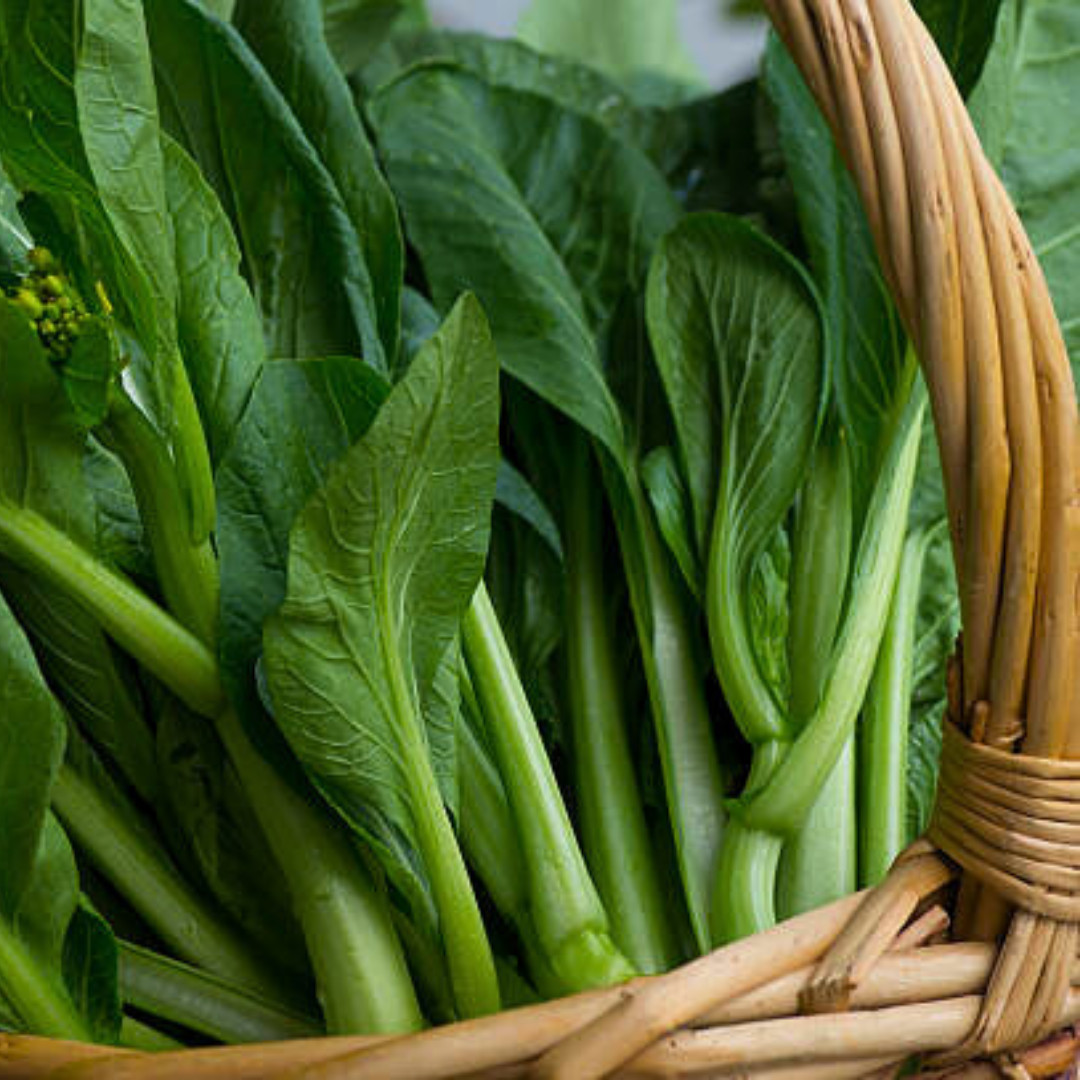 Fresh Premium Yu Choy Sum Seeds | Heirloom Non-GMO | Asian Vegetable Seeds