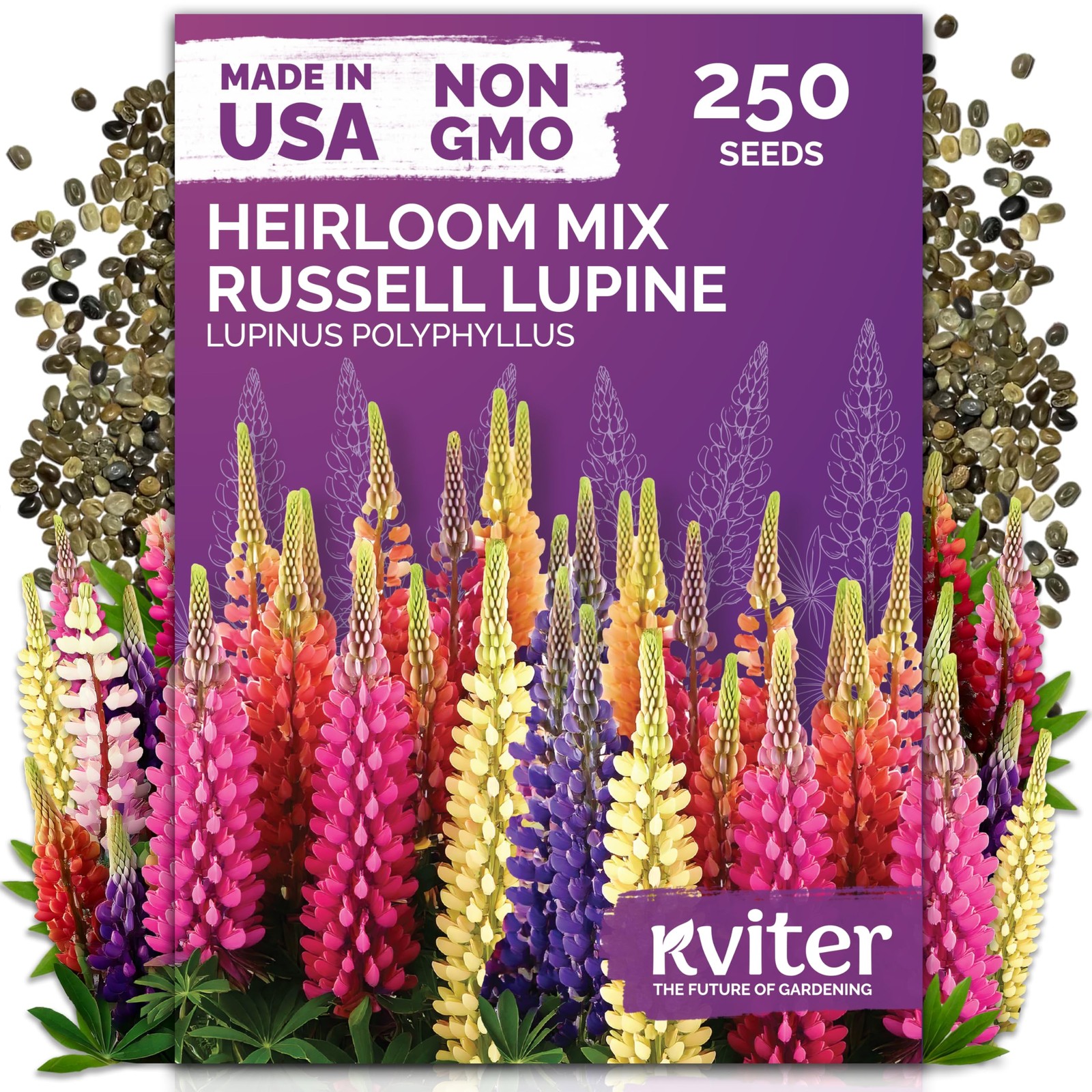 250 Mix Russell Lupine Seeds Perennial Lupinus polyphyllus Heirloom & Non GM…