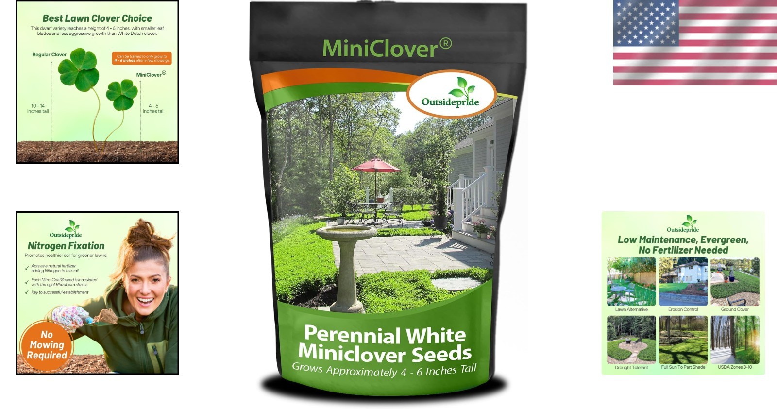 Perennial White MiniClover Seed 2 lb Natural Nitrogen-Fixing Ground Cover Lawn