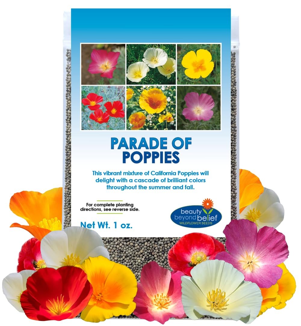 Parade of Poppy Wildflower Seeds – 1oz, Open-Pollinated Flower Orange