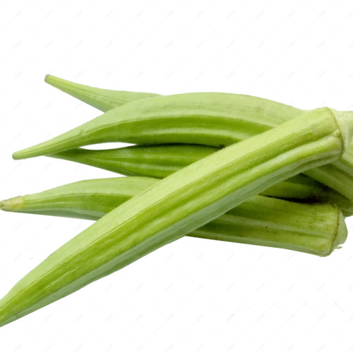 Okra -Green Slim